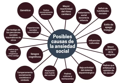 actitudes y su impacto en la ansiedad social en individuos