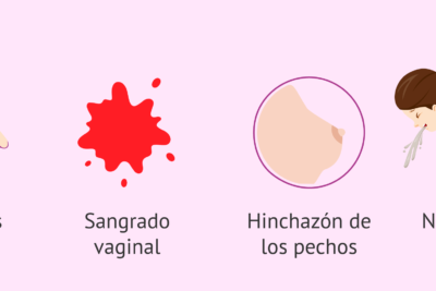 clomifeno efectos en la menstruacion y su uso terapeutico