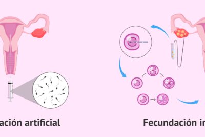 como afecta la tecnologia reproductiva a la fertilidad