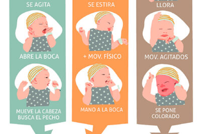 como saber si mi bebe esta comiendo suficiente