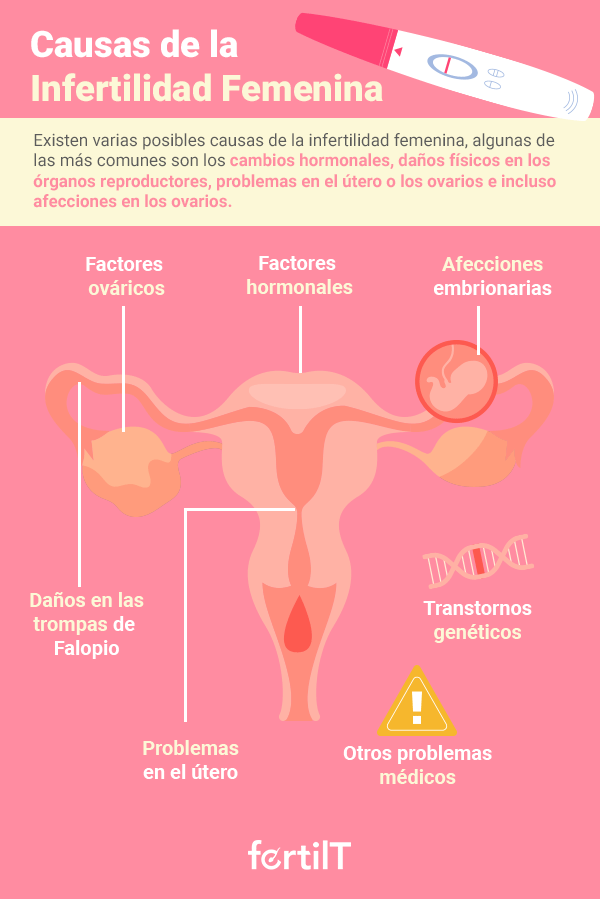 cuales son las causas comunes de infertilidad femenina