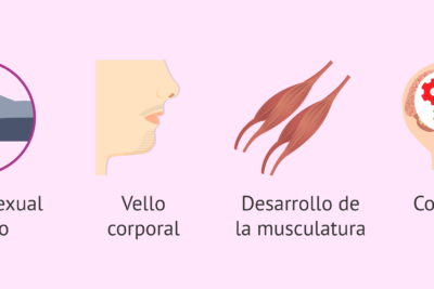 cuales son los efectos de la testosterona en el embarazo