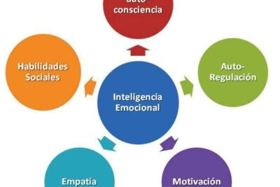 el rol de la educacion emocional en las actitudes