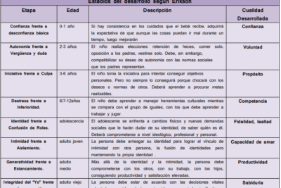 evolucion de actitudes en la edad adulta un analisis reflexivo