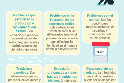 fertilidad masculina estudios recientes y sus implicaciones