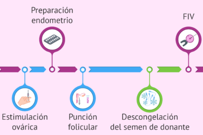 guia completa de la donacion de ovulos proceso y beneficios
