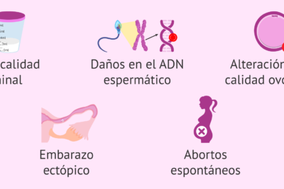 influencia de la familia en la busqueda de la fertilidad