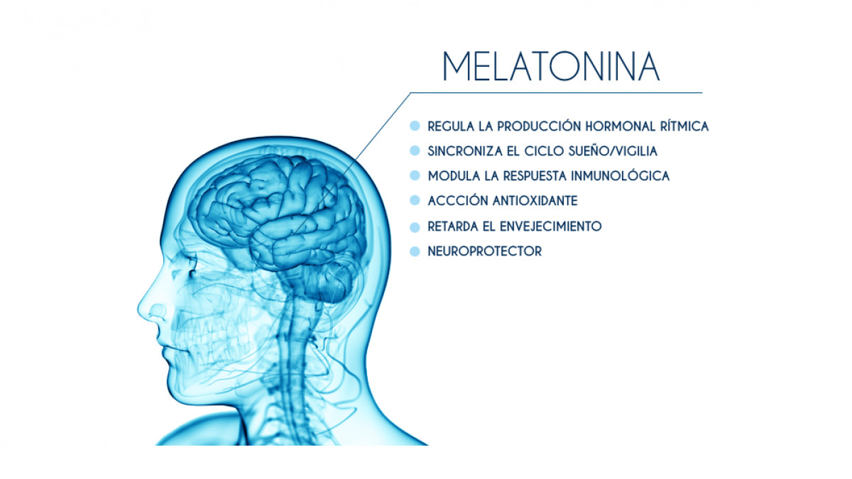la melatonina