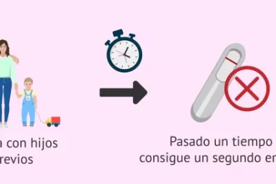 mitos sobre el tiempo necesario para concebir cuales son