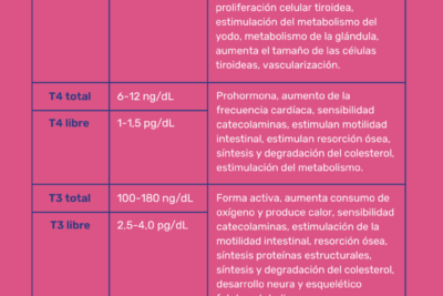 perfil hormonal completo informacion integral sobre hormonas