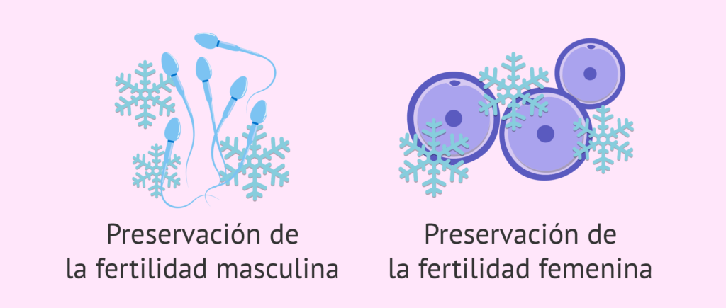 Preservación de la fertilidad: por qué es importante hoy 1 preservacion de la fertilidad por que es importante hoy