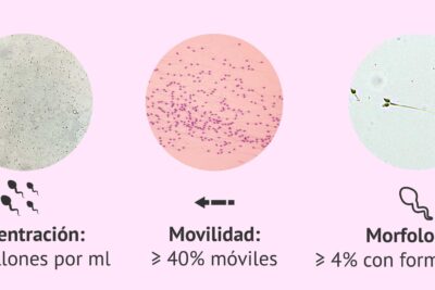 que es un analisis de esperma y como se interpreta