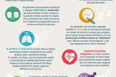 virus que pueden causar problemas de infertilidad en humanos