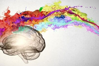 actitudes hacia la creatividad en la resolucion de problemas