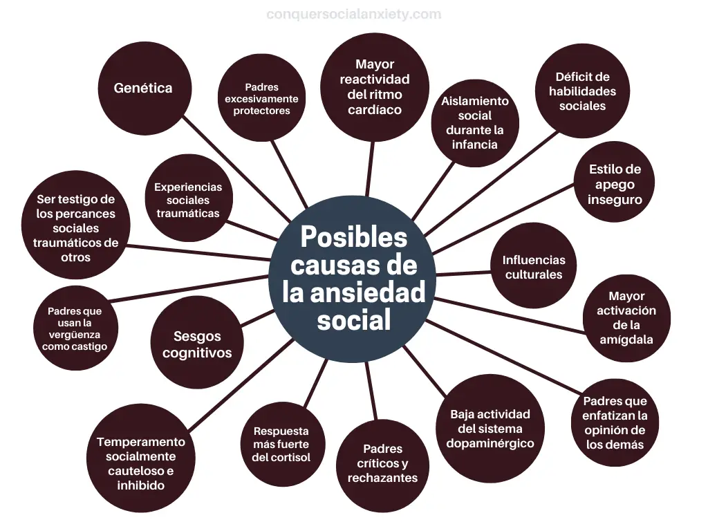 actitudes y su impacto en la ansiedad social en individuos