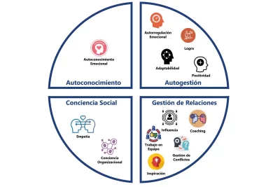 adaptacion y autoconocimiento claves para la vida diaria