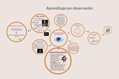 aprendizaje por observacion importancia y aplicaciones clave