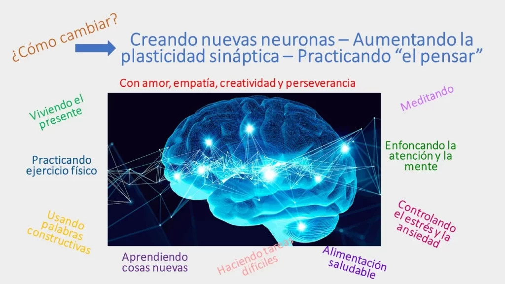 aprendizaje y neuroplasticidad exploracion en el cerebro