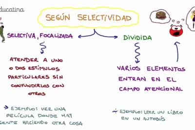 atencion selectiva definicion funcion y ejemplos clave