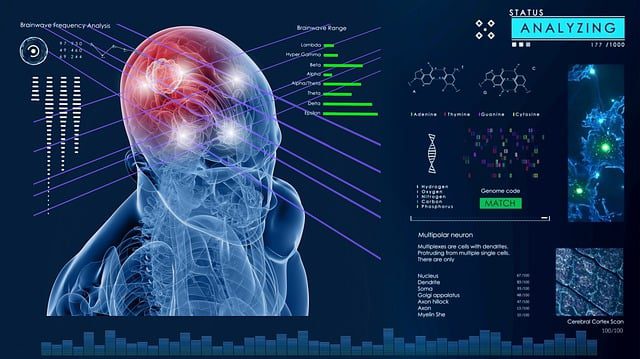 Avances actuales en neurociencia cultural: enfoques y hallazgos 1 avances actuales en neurociencia cultural enfoques y hallazgos