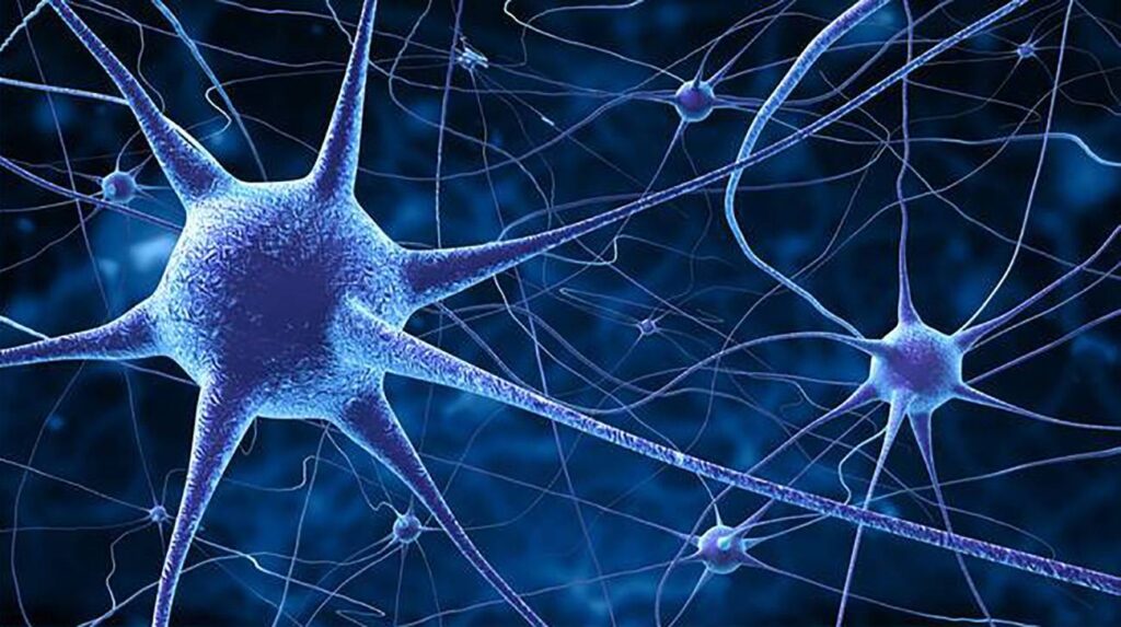 avances en neurociencia para tratar enfermedades neurodegenerativas