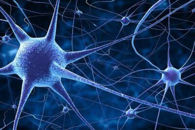 avances en neurociencia para tratar enfermedades neurodegenerativas