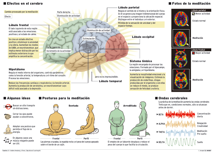 beneficios y efectos a largo plazo de la meditacion cerebral