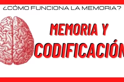 codificacion en la memoria definicion e importancia clave