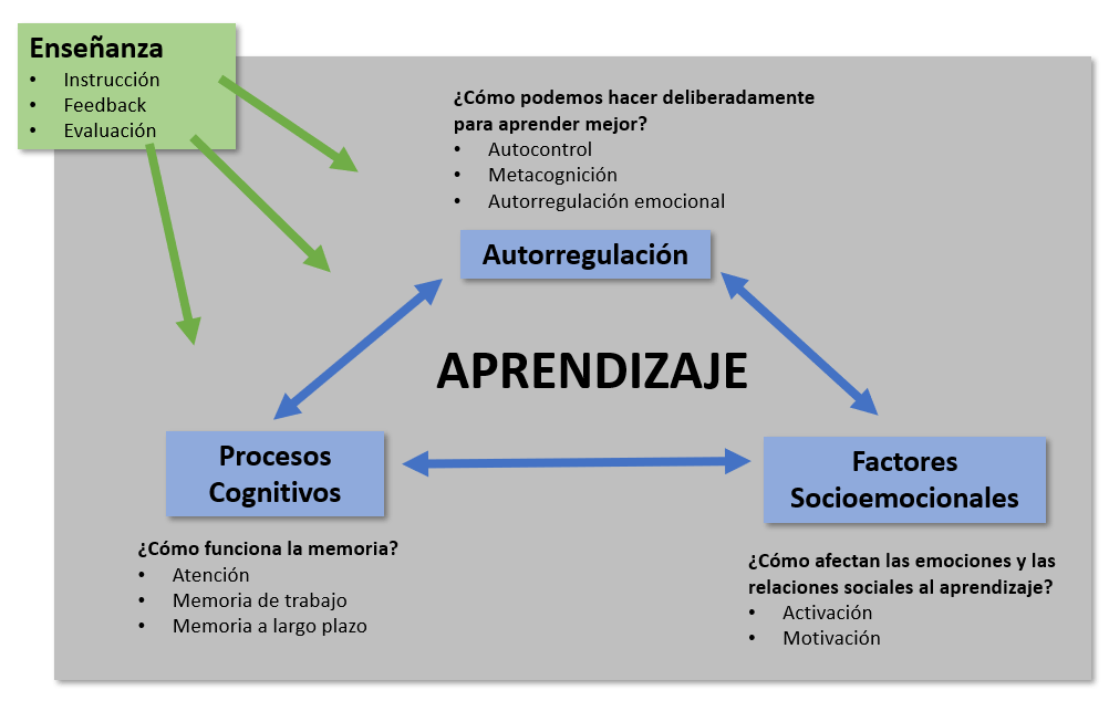 cognicion critica importancia en el aprendizaje