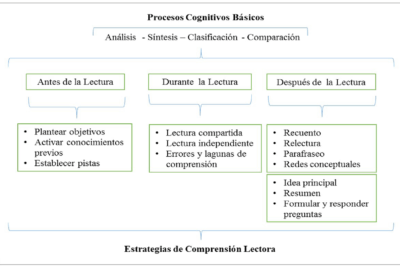 cognicion narrativa definicion e importancia en la comprension