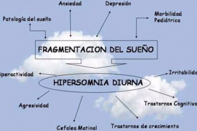 como afectan los habitos de sueno a la conducta diaria