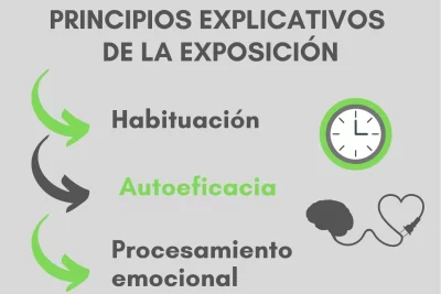 como cambia la percepcion con la exposicion repetida