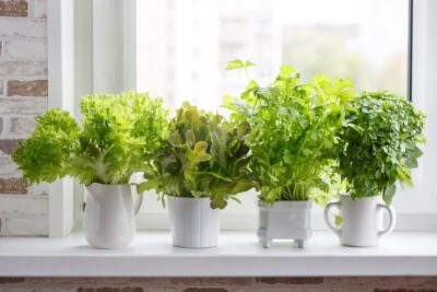 como cultivar la influencia positiva en el hogar