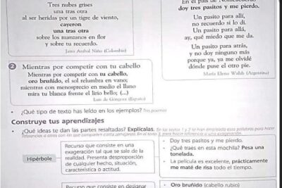 como explorar la belleza del lenguaje en la poesia