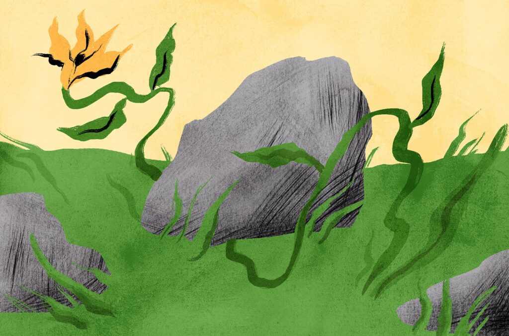 como fomentar la resiliencia en tiempos dificiles