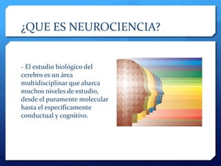 como influye la neurociencia en la toma de decisiones