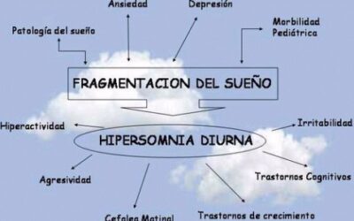 como influyen los patrones de sueno en la cognicion