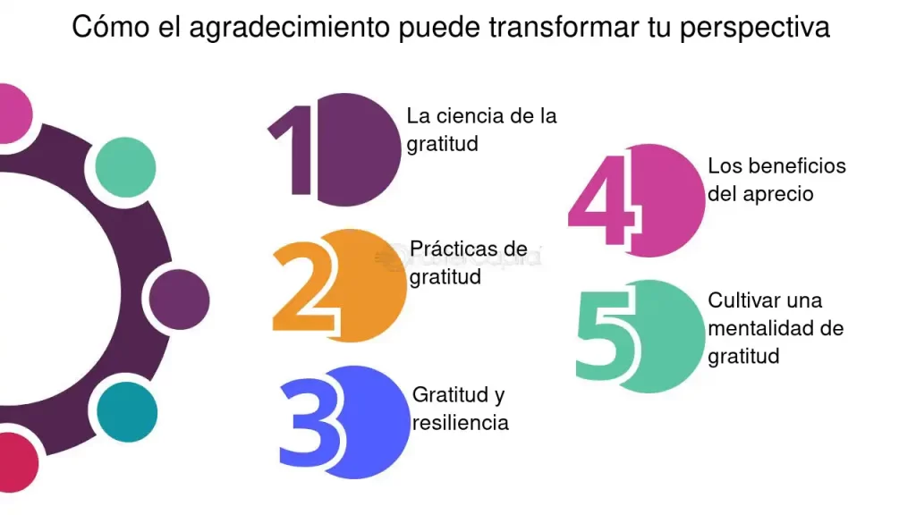 como la practica de la gratitud transforma nuestra perspectiva