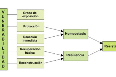 como la vulnerabilidad puede generar influencia