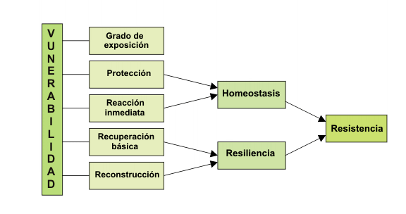 como la vulnerabilidad puede generar influencia