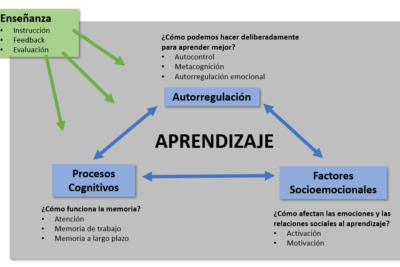 como manejar la carga cognitiva en decisiones complejas