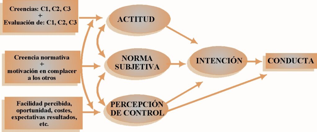 como medir el exito en la conducta y factores que influyen