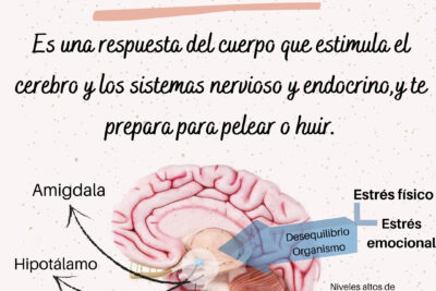 como percibimos el tiempo en situaciones de estres