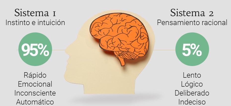 como se aplica la neurociencia en el marketing