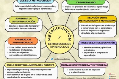 como se desarrollan las habilidades metacognitivas