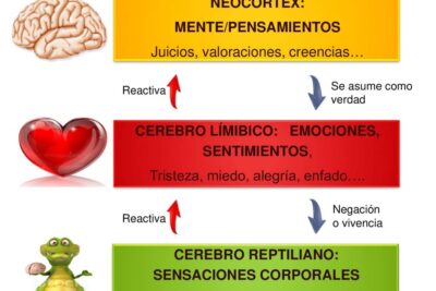 como se integra el cuerpo en el enfoque terapeutico