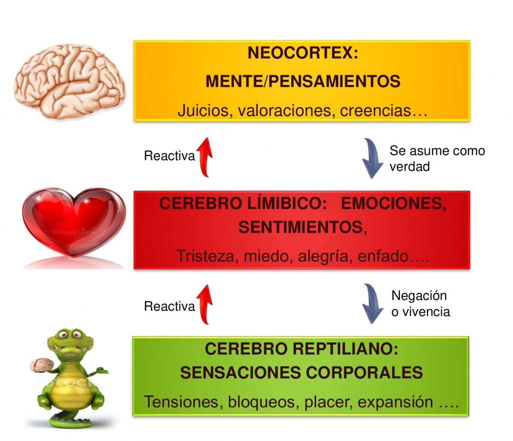 Cómo se integra el cuerpo en el enfoque terapéutico 1 como se integra el cuerpo en el enfoque terapeutico