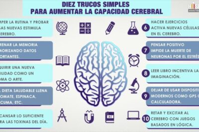 como se puede optimizar el rendimiento cerebral