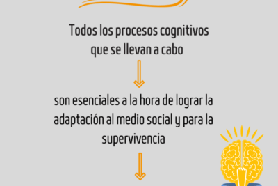 como se relaciona la cognicion con el comportamiento