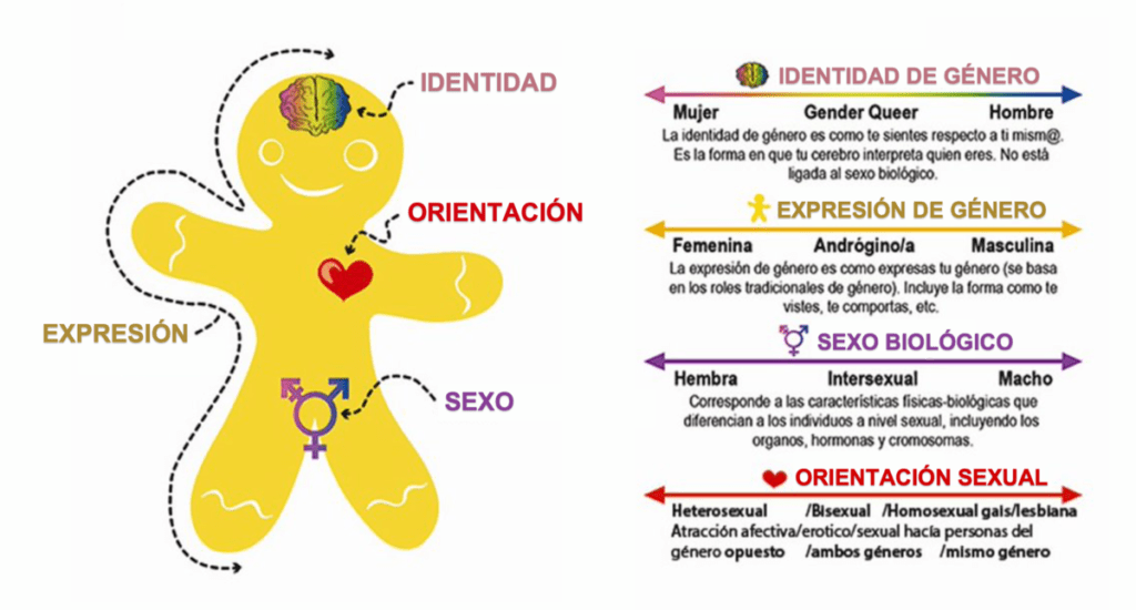 Cómo se relaciona la identidad de género y la conducta 1 como se relaciona la identidad de genero y la conducta